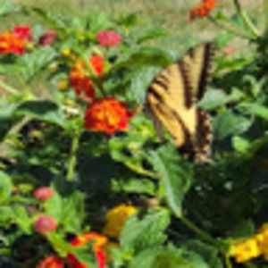 Meet your Posher, Sandra